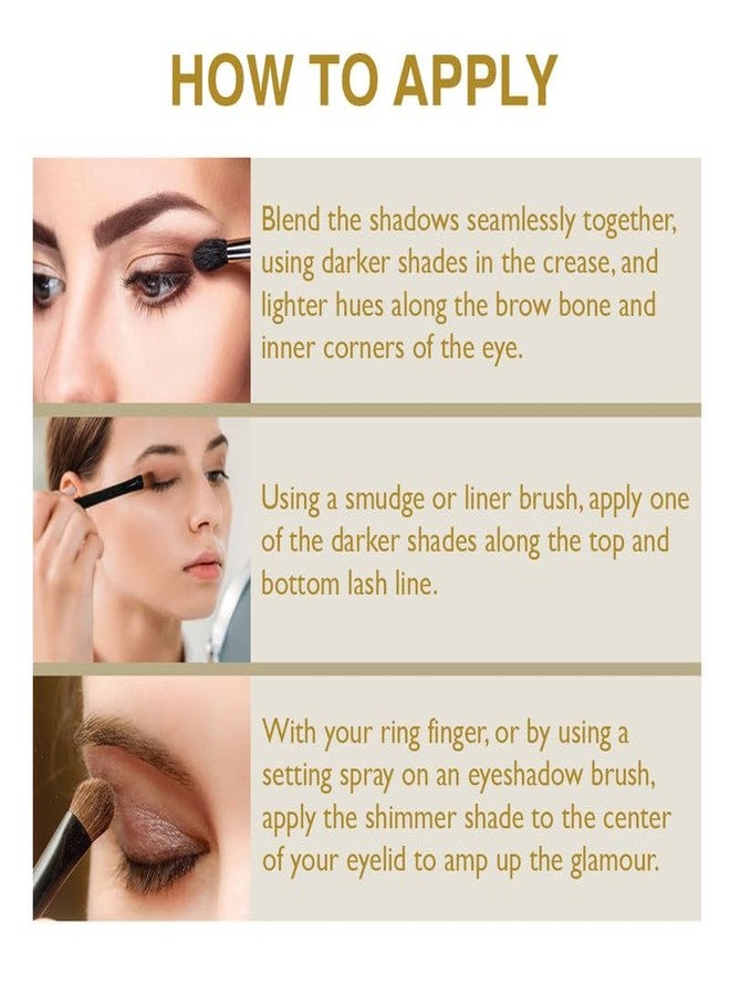 Insight Professional Eyeshadow Pallete,15gm (1-Brown) - Image 3