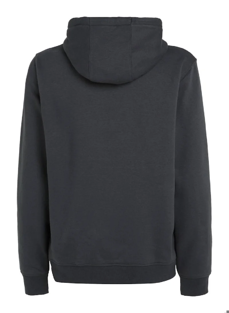 TOMMY JEANS Regular Fit Flag Hoodie