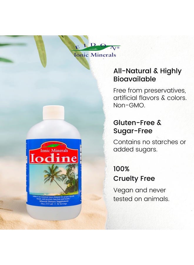 Eidon Ionic Minerals Potassium Iodide Supplement - Liquid Iodine Drops, Supports Energy Levels and Thyroid Health, Bioavailable, No Additives or Preservatives - Potassium Iodide Drops, 18 oz - Image 5