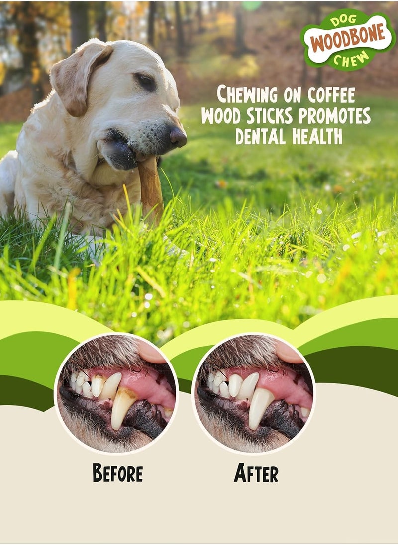 wood Olive Wood and Coffee Wood Dog Chew Toy for Medium Dogs Dogwood Branch Chewing Stick Bundle of 2 Size M  - Image 3