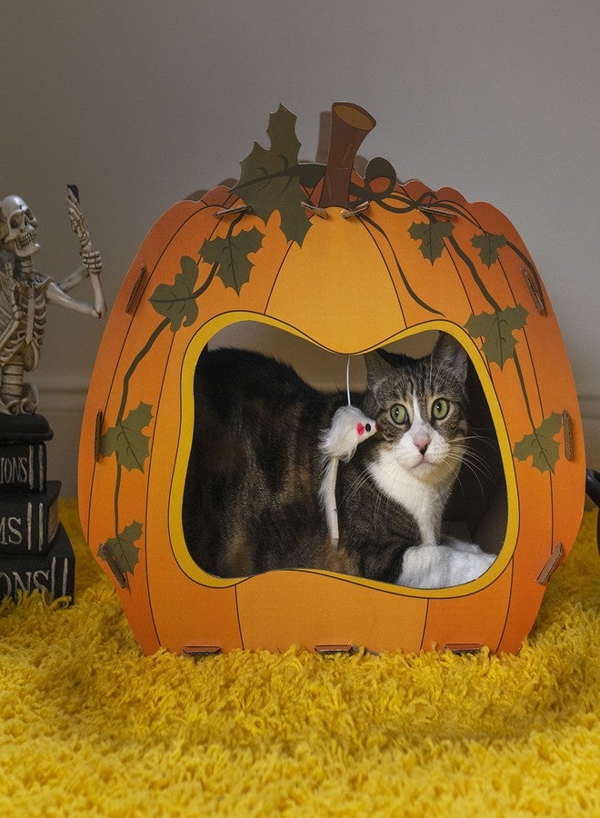 Midlee Halloween Pumpkin Cat Scratcher Cardboard House - Image 5