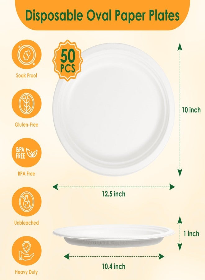 FEHHTO 100% Compostable Oval Paper Plates, 12.5Inch 50Pack Disposable Heavy Duty Bagasse Platters Eco-Friendly Biodegradable Sugarcane Plates for BBQ, Party, Picnic - Off White - Image 2