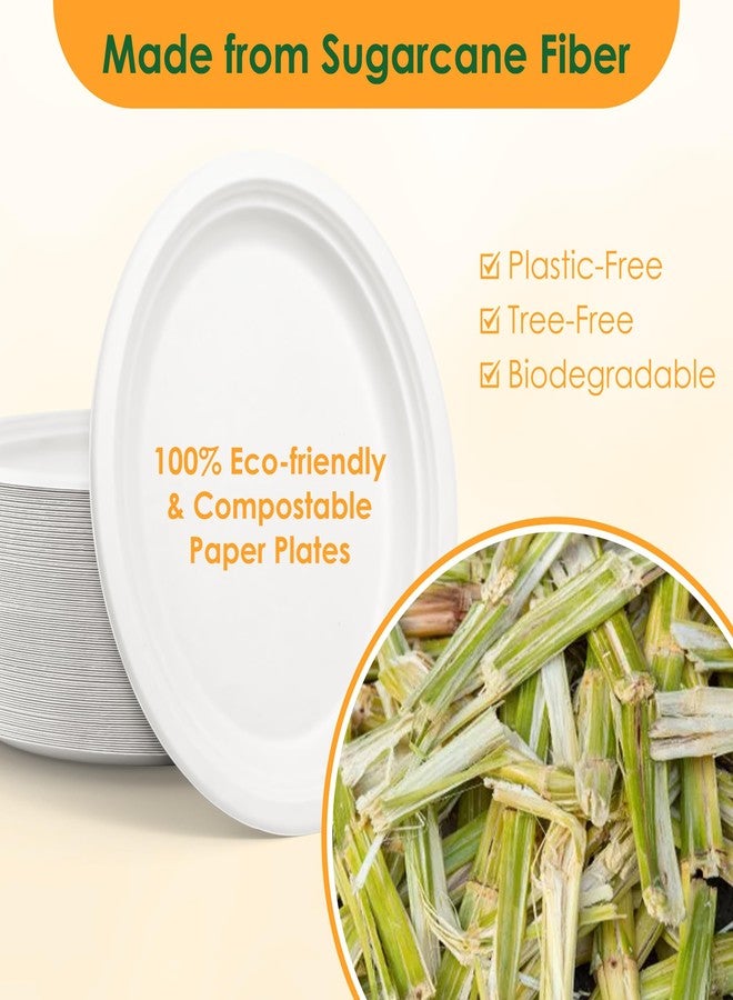 FEHHTO 100% Compostable Oval Paper Plates, 12.5Inch 50Pack Disposable Heavy Duty Bagasse Platters Eco-Friendly Biodegradable Sugarcane Plates for BBQ, Party, Picnic - Off White - Image 3
