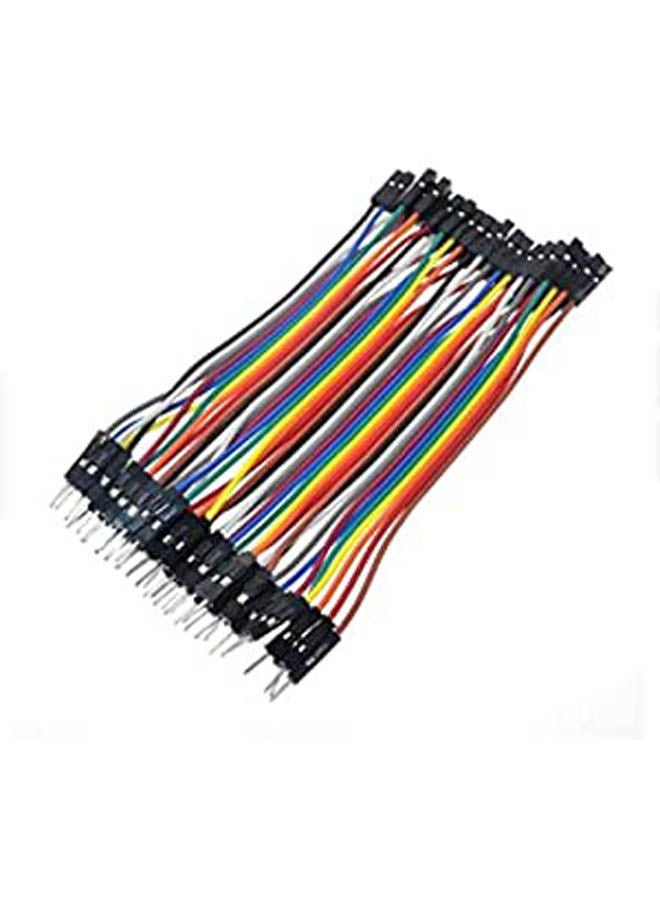 Male-Female 40 Plug Wires