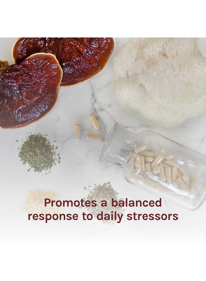 Host Defense Mycobotanicals Stress Decompress Capsules Supports Calm And Relaxation Mushroom And Herb Supplement 60 Capsules Unflavored - Image 5