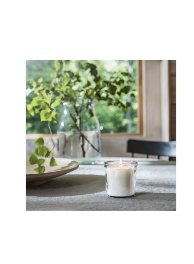 IKEA (IKEA) Set of 3 ADLAD Scented Candles – Scandinavian Forest Aroma, Cozy & Inviting - Image 1