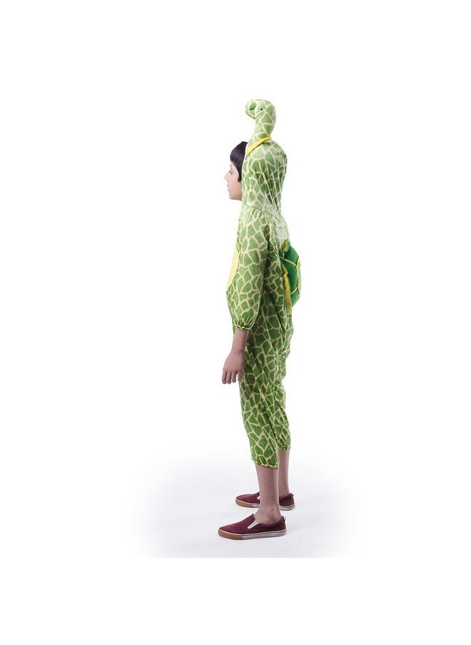 Fancydresswale - Fancydresswale Sea Creature Fancy Dress for Kids| Water Animal Costume| Occean Creature Dresses for Fancy Dress Costumes for Boys and Girls- Tortoise Dress - Image 1