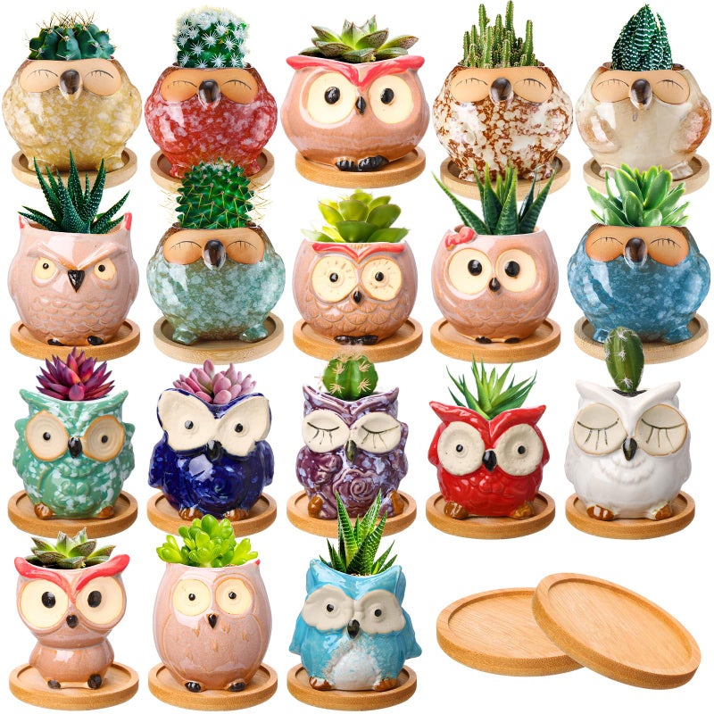 Cindeer Cindeer 18 Pcs 25 Inch Owl Ceramic Succulent Planter Pots Mini Small Ceramic Pots with Drainage Hole and Bamboo Tray for Succulents Glaze Cactus for Home Garden Office Desk Decoration Gift Ideas 