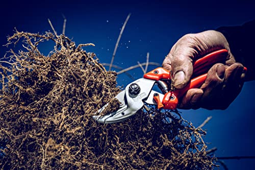 Original LÖWE Profi Anvil Prunner Garden Tools 8.107 with Bypass Geometry | Robust & Sharp Hedge Trimmer | Use as Pruners, Garden Shears, Handheld, Pruning Shears for Gardening | Made in Germany - Image 5