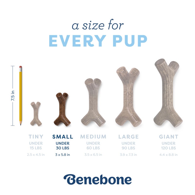 Benebone Puppy Maplestick Dog Chew Toy, Made in USA, Real Maple Wood Flavor, Small, Brown - Image 4