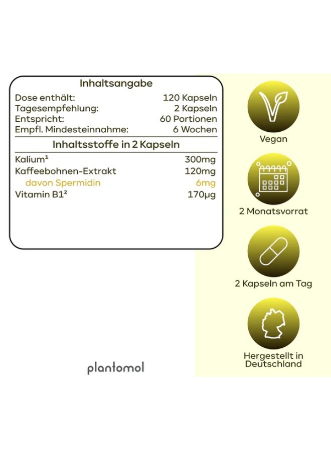 Plantomol Spermidine Coffee Heart – 6mg Spermidine with 300mg Potassium per day Supports Cellular Health and Longevity 120 capsules – Made in Germany - Image 4