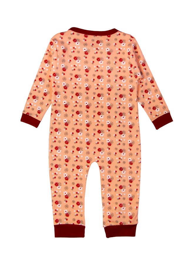 Babies Basic 100% Cotton Printed Long Sleeves Jumpsuit/Romper/Sleepsuit For Babies  - Image 3