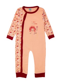 Babies Basic 100% Cotton Printed Long Sleeves Jumpsuit/Romper/Sleepsuit For Babies  - Image 2
