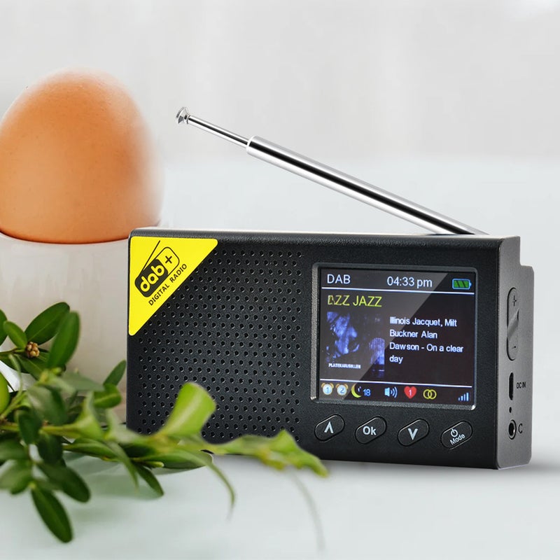 Digital DAB & FM Radio with BT, Portable Digital Radio Rechargeable Wireless DAB+FM Receiver with Stereo Speaker Sound System, LCD Display, Multi-language - Image 5