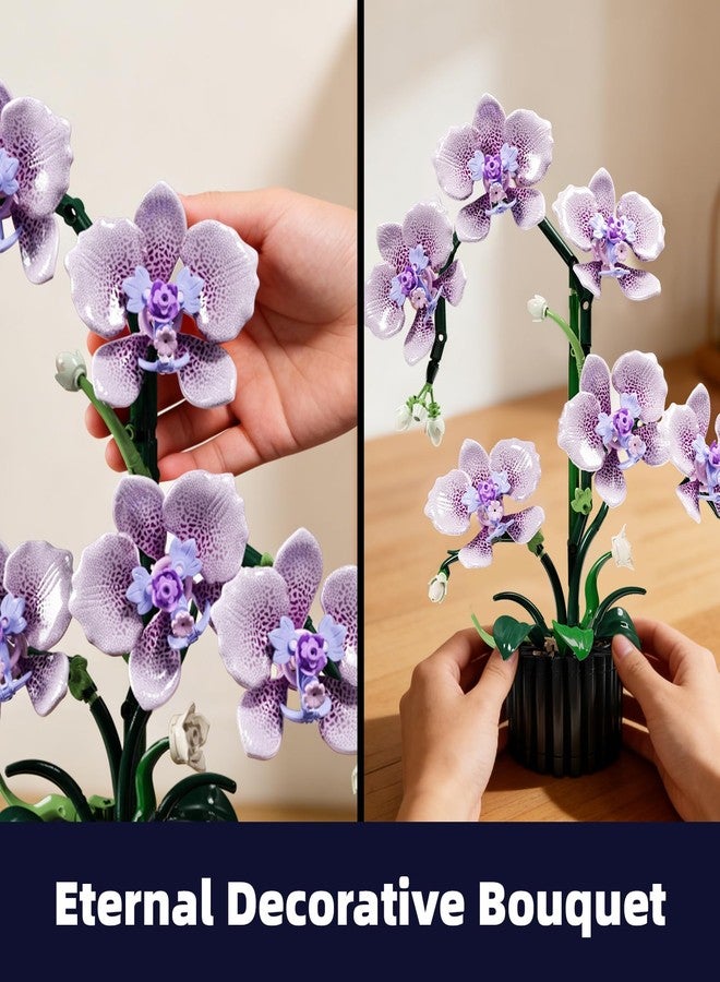 Mov stone Botanicals Orchid Building Set for Adults,Fake Orchid Artificial Plant Collection for Home Office Desk Decor,Ideal Gifts for Mother's Day, Anniversary, Birthday for Ages14+ - Image 4