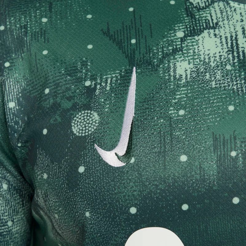 Nike Green Tottenham Hotspur 2024/25 Stadium Third for Men | Best Price UAE