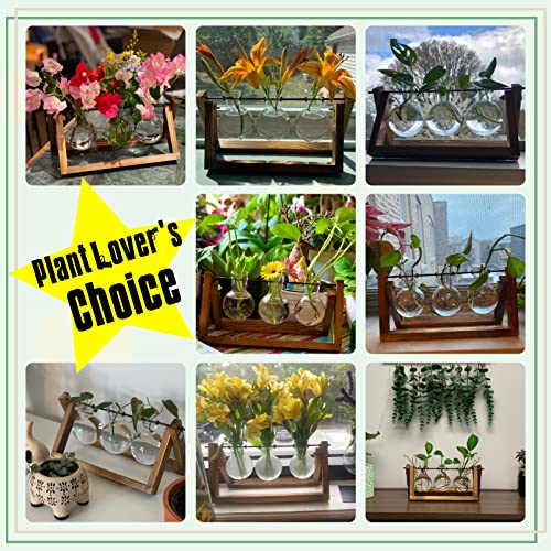 XXXFLOWER تراريوم نباتات XXXFLOWER مع قاعدة خشبية، مزهرية زجاجية للهواء مع حامل دوار معدني، ديكور طاولة ريترو للزراعة المائية في المنزل والحديقة ومكتب العمل - مزهرية 3 لمبات - Image 5