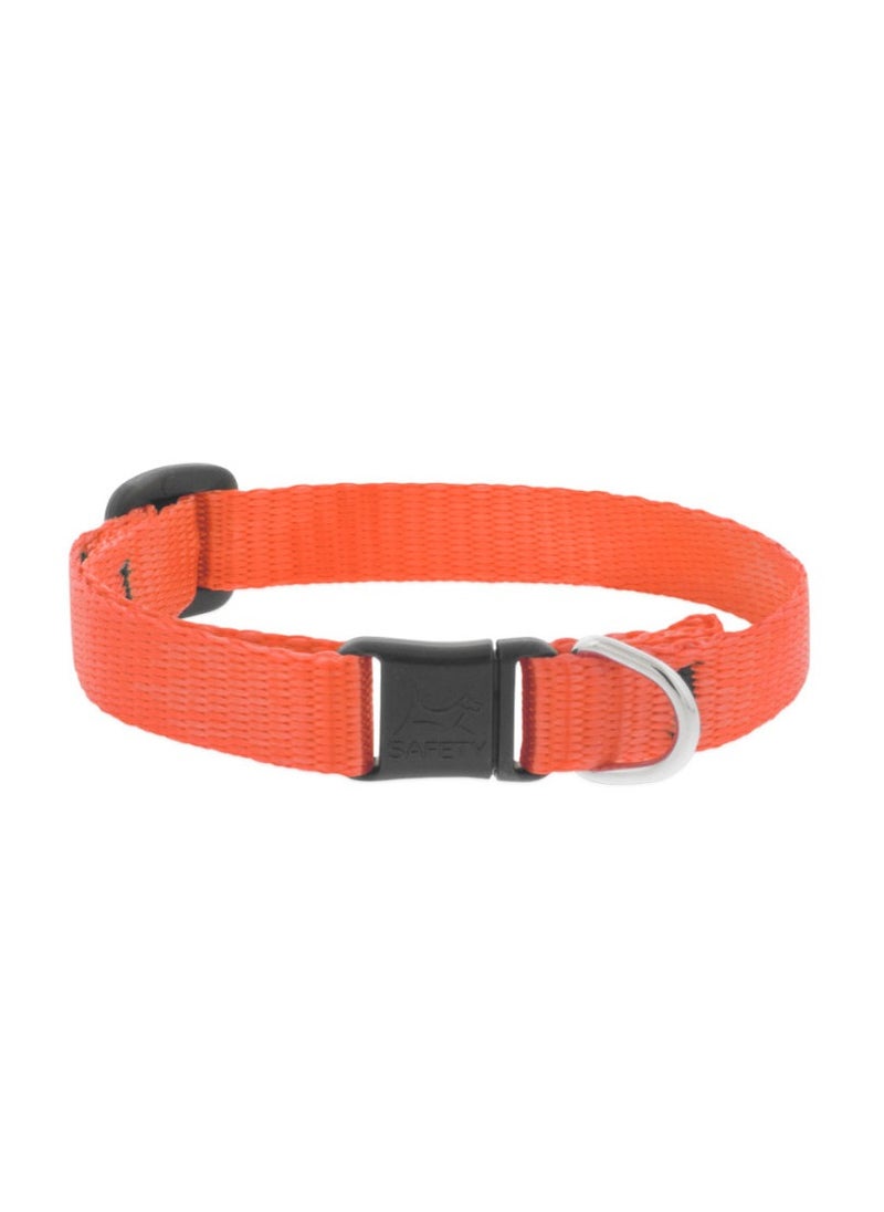 Lupine Pet Basic Solids Safety Cat Collar - Organge 