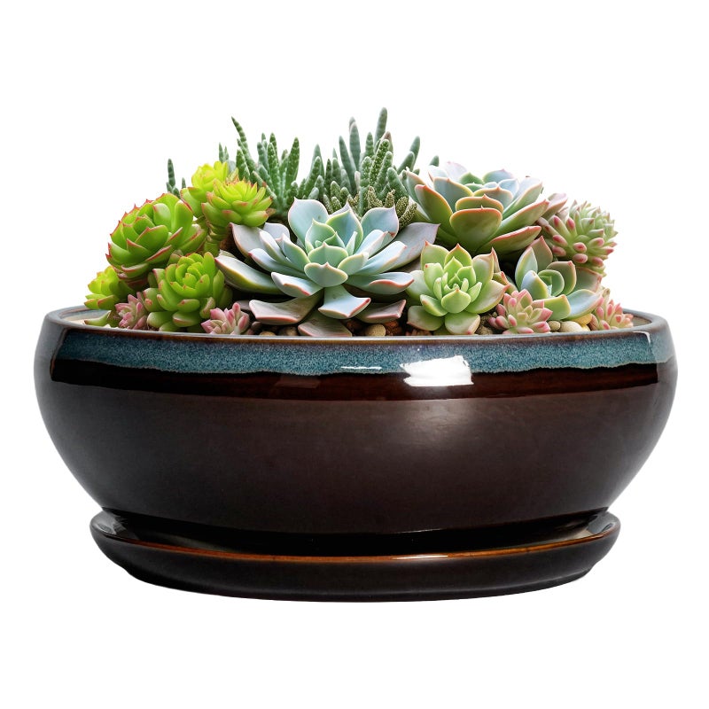 SQOWL Succulent Planters 8 Inch - Ceramic Bonsai Pots with Drainage Hole and Ceramic Saucer, Round Shallow Planter for Indoor Plant, Bowl Planter Outdoor, Desk Decor, Gift for Plant Lover, Blue-Brown - Image 1