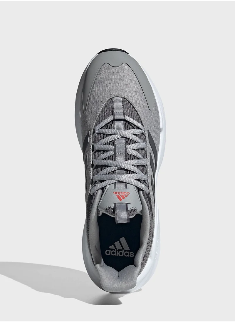 Adidas Alphaedge + Shoes