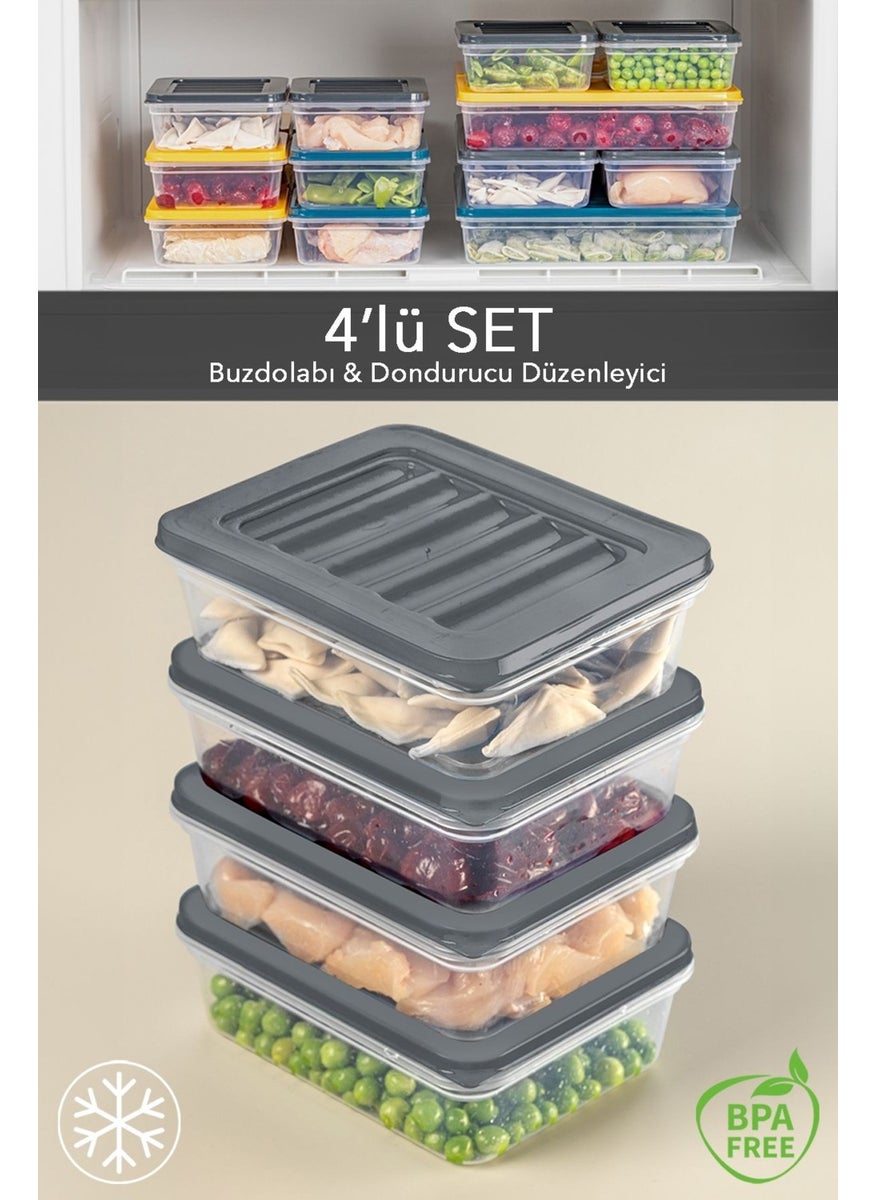 4-Piece Refrigerator Organizer Microwave and Freezer Suitable Storage Container Anthracite 4 x 600 ml - pzsku/Z7E0C03BFA7D2934972E1Z/45/_/1726654287/bad3a205-0734-4890-b96d-35549a181c3c