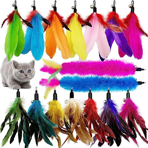 CATENEED Cat Feather Toys Refill 16 Pieces Cat Wand Replacement Feathers Toy for Indoor Cats - Image 1