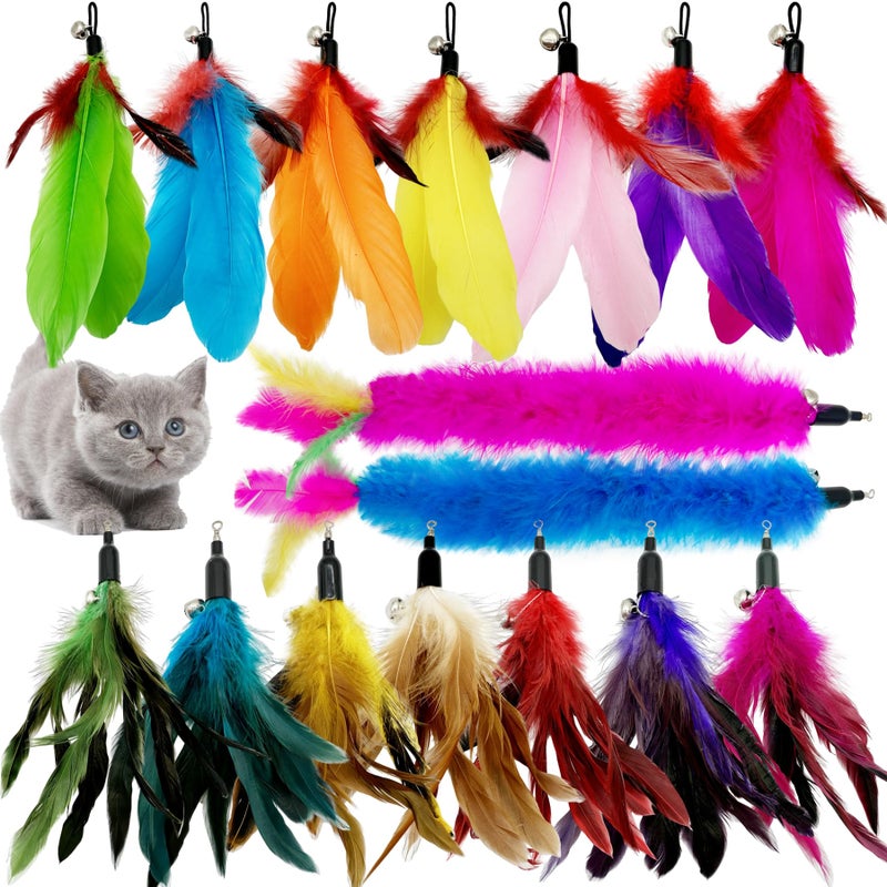 CATENEED Cat Feather Toys Refill 16 Pieces Cat Wand Replacement Feathers Toy for Indoor Cats - Image 2