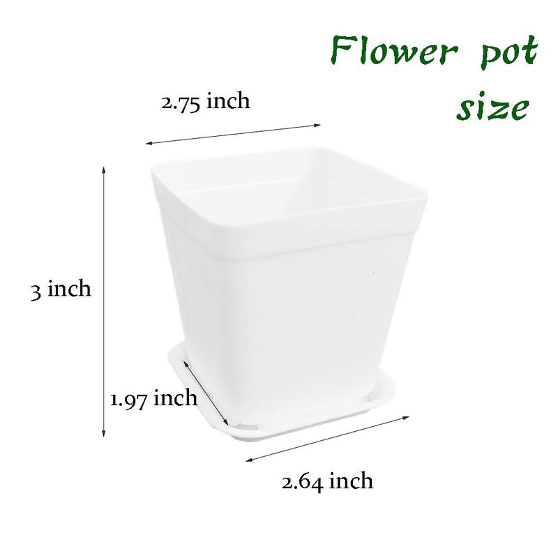 OJYUDD 24 Pack 3 Inch White Square Plastic Plant Pots with Saucers,Nursery Seedling Pots with Drainage Hole,Small Planter Containers for Succulents,Flowers,Indoor Outdoor Garden,Home Office Balcony Decor - Image 2