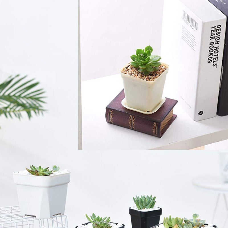 OJYUDD 24 Pack 3 Inch White Square Plastic Plant Pots with Saucers,Nursery Seedling Pots with Drainage Hole,Small Planter Containers for Succulents,Flowers,Indoor Outdoor Garden,Home Office Balcony Decor - Image 5