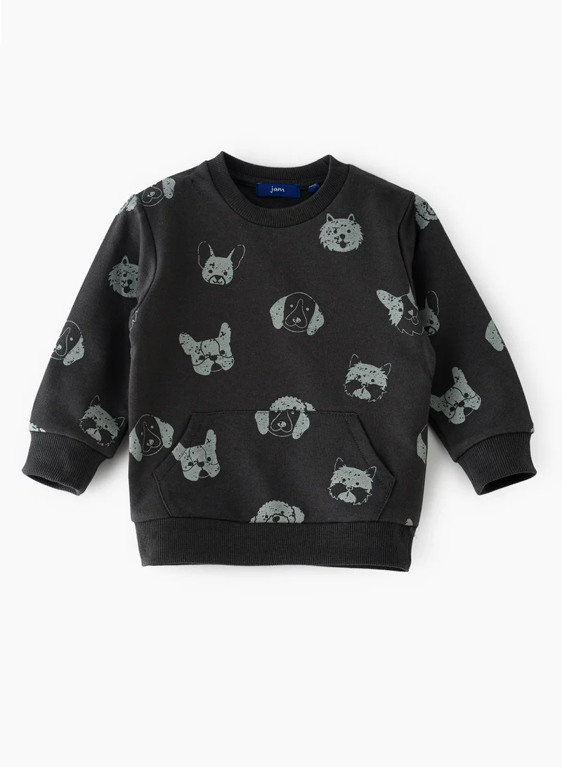 JAM Boys Sweatshirt, Soft and Comfortable Sweatshirt for Boys
