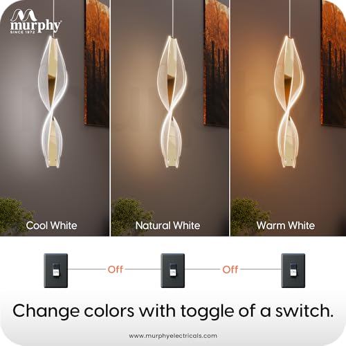 Murphy Infinity Drop Pendant Light – 12W LED 3-in-1, Modern Ceiling Hanging Lamp, Energy Efficient, Premium Finish, Pack of 1 - Image 5