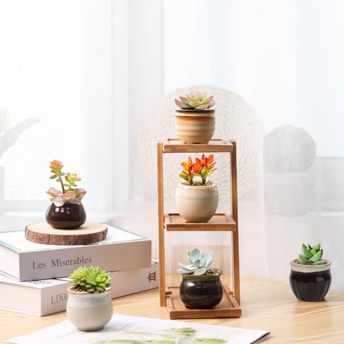 T4U Small Ceramic Succulent Pots with Drainage - Set of 12, Mini Pots for Plants, Home and Office Decor, Plant Lover Gifts for Women - Image 4