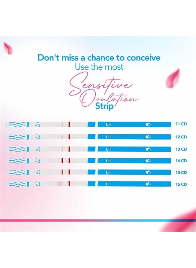 50 Ovulation Test Strips and 20 Early Pregnancy Test Strips Combo Rapid HCG Test Fertility Ovulation Predictor Kit