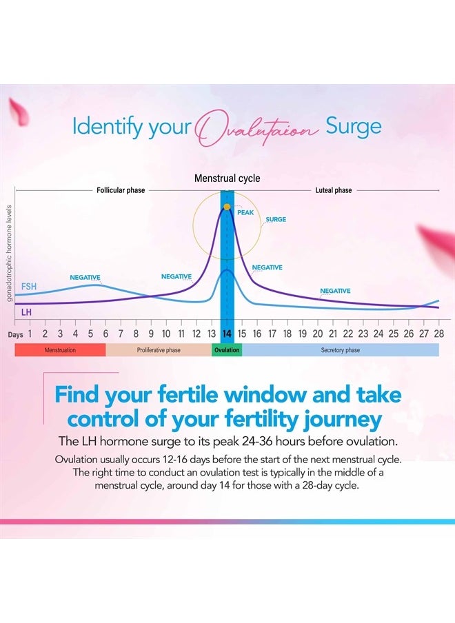 50 Ovulation Test Strips and 20 Early Pregnancy Test Strips Combo Rapid HCG Test Fertility Ovulation Predictor Kit