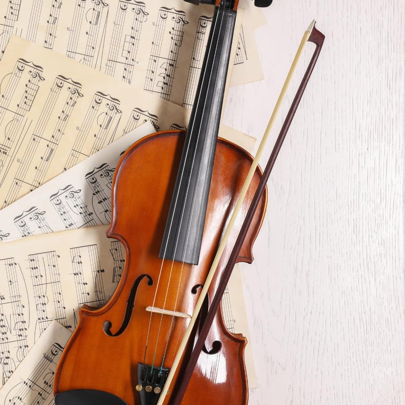 Device Of Urban Infotech Violin Bow 4/4 Violin Bow Brazil Wood Violin Bow with Natural Horsehair Violin Bow for Violins - Image 2