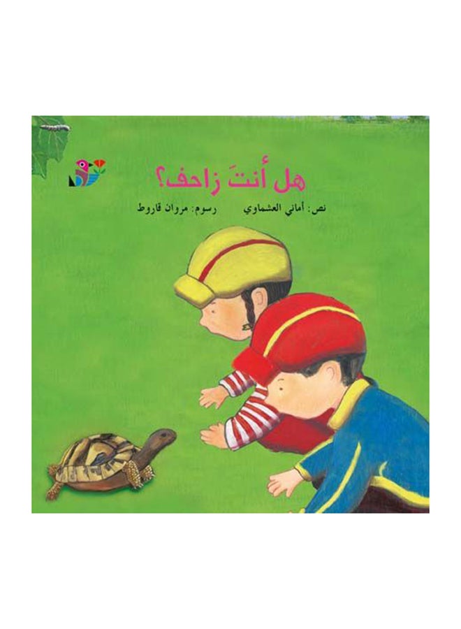 التجديد والتحريم والتأويل بين المعرفة العلمية والخوف من التكفير