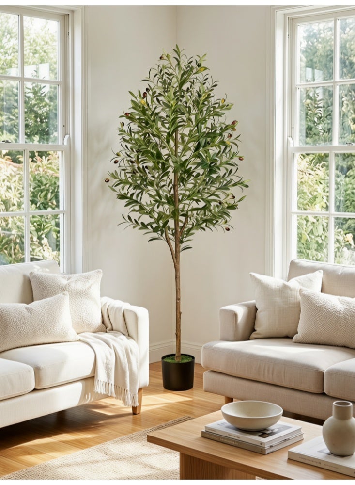 Zanotta Olive Tree Artificial Fruits Plants for Home Living Room Decor | A large Artificial Tree with Natural Wood Trunk & Faux Fruits for Living Room Indoor Home Decor - Image 2