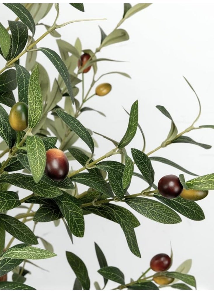Zanotta Olive Tree Artificial Fruits Plants for Home Living Room Decor | A large Artificial Tree with Natural Wood Trunk & Faux Fruits for Living Room Indoor Home Decor - Image 4