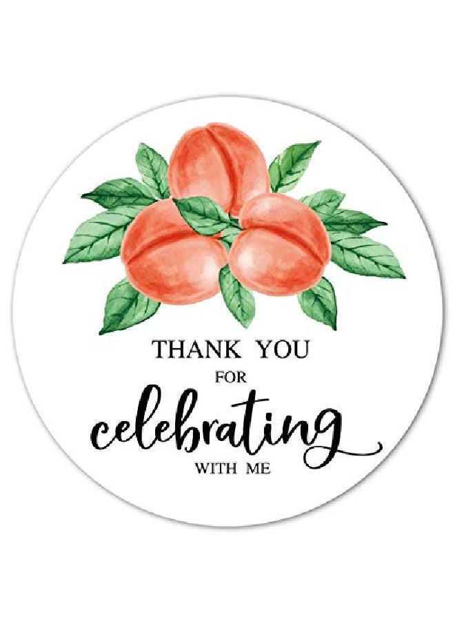 MAGJUCHE - Peach Party Thank You Stickers 40Pack 2" Birthday Party Favor Sticker Labels Decorations - Image 1