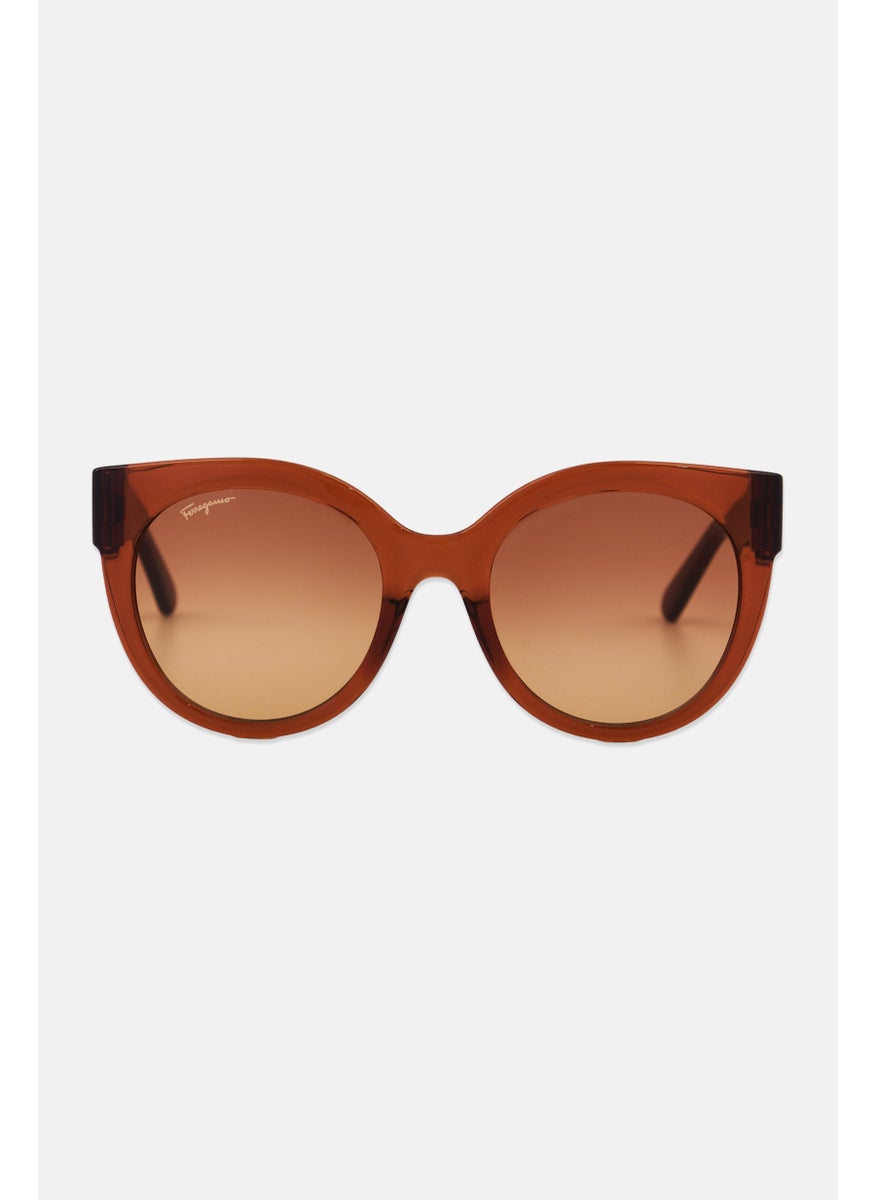 Salvatore Ferragamo Women SF1031S Cat Eye Sunglasses, Brown  - Image 1