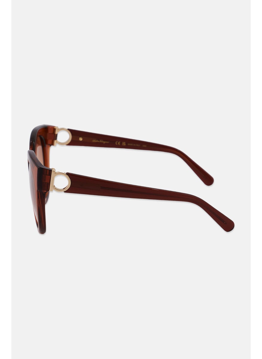 Salvatore Ferragamo Women SF1031S Cat Eye Sunglasses, Brown  - Image 3