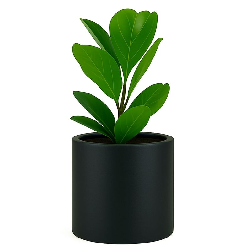 Fox  Fern 10 Inch Black Plant Pot with Drainage Plug  Premium Lightweight Fiberstone Matte Black Planter 10 Inch Pots for Plants for Indoor  Outdoor Use Weather Resistant  UV Resistant