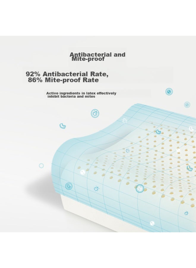 Jago Jiaoao Latex Pillow, Thai Natural Rubber, Student Sleep Cervical Pillow, Latex Content 90%, For Ages 6-16 - Image 3
