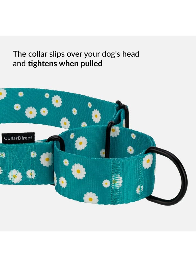 CollarDirect Martingale Collars for Dogs Heavy Duty Floral Pattern Female Safety Nylon Training Wide Collar Flower Design Large Medium (L, Neck Size 15"-20", Aquamarine) - Image 3