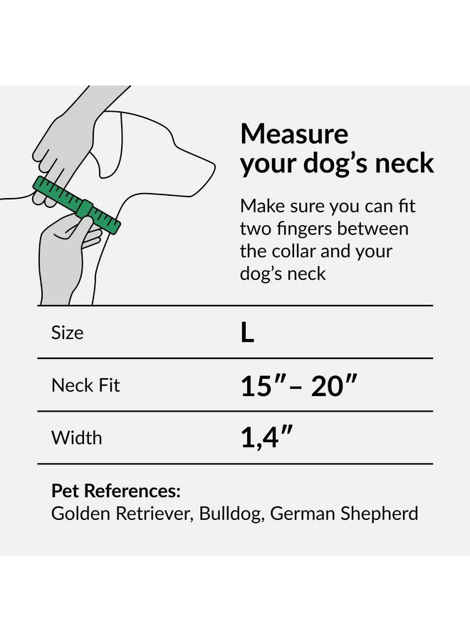 CollarDirect Martingale Collars for Dogs Heavy Duty Floral Pattern Female Safety Nylon Training Wide Collar Flower Design Large Medium (L, Neck Size 15"-20", Aquamarine) - Image 2