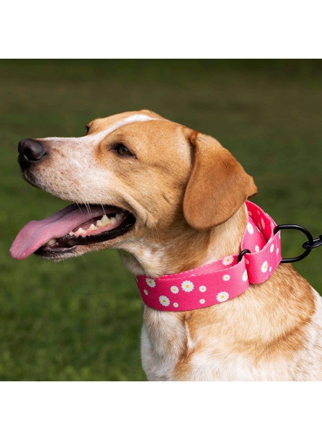 CollarDirect Martingale Collars for Dogs Heavy Duty Floral Pattern Female Safety Nylon Training Wide Collar Flower Design Large Medium (L, Neck Size 15"-20", Aquamarine) - Image 5