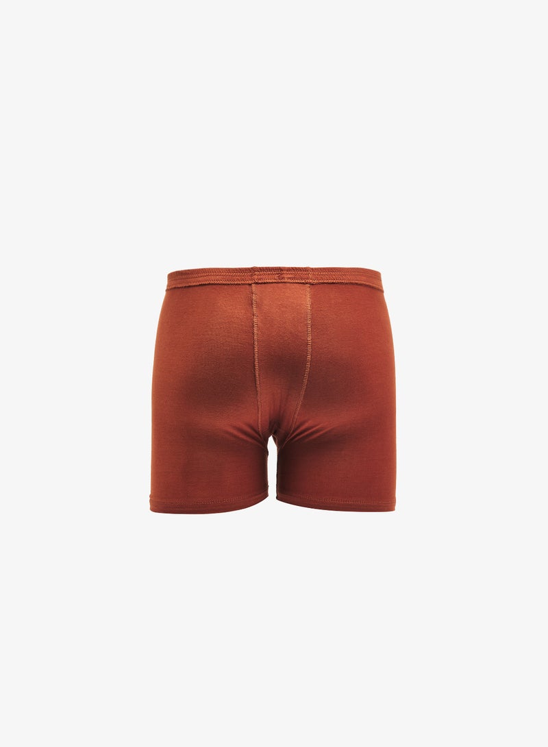 Seventy Five Basics Rupa Pack of 2 Boxers - Image 3
