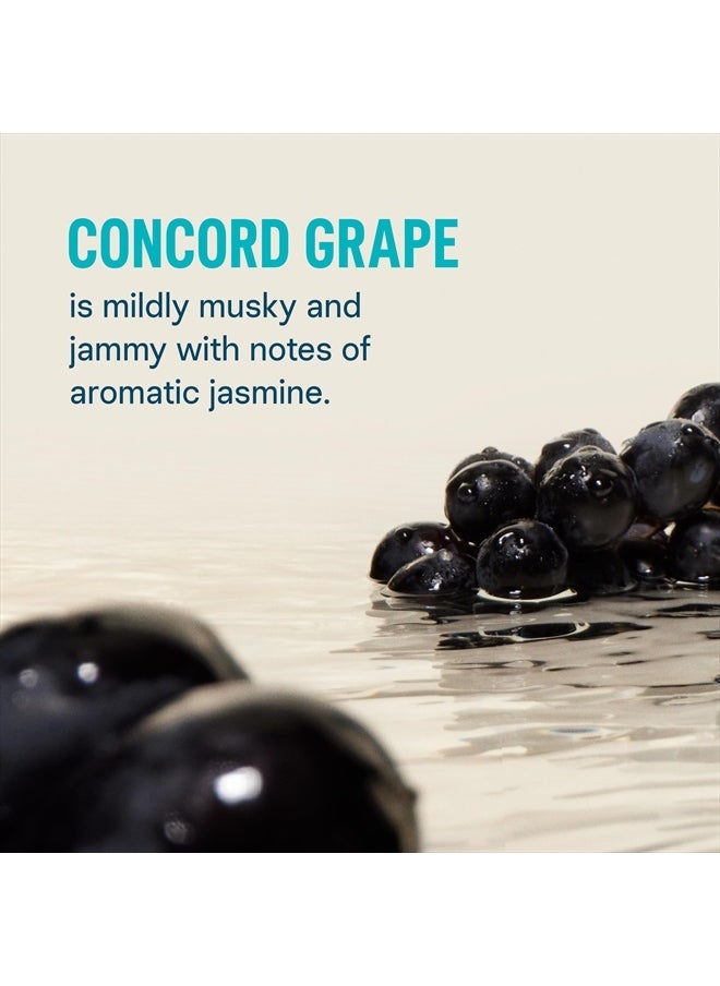 Liquid I.V. - ® Hydration Multiplier® - Concord Grape - Hydration Powder Packets | Electrolyte Powder Drink Mix | Convenient Single-Serving Sticks | Non-GMO | 1 Pack (16 Servings) - Image 1