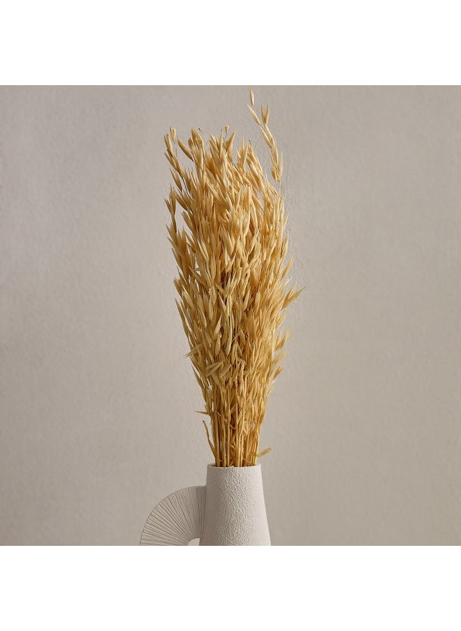 Home Box Seyna Misc Stock Hawana Grass 10 x 60 x 2 x cm  - Image 1