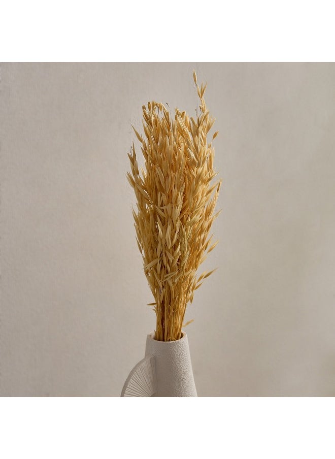 Home Box Seyna Misc Stock Hawana Grass 10 x 60 x 2 x cm  - Image 2
